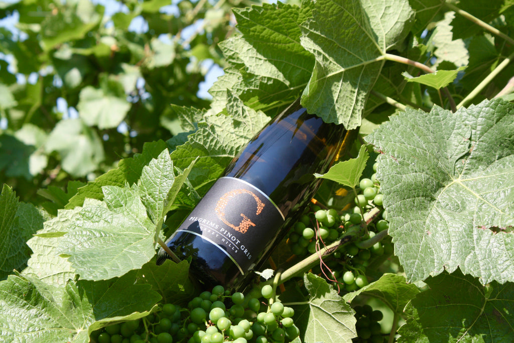 Pilgrims Pinot Gris