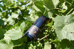 Pilgrims Pinot Gris