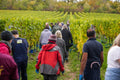 Harvest Volunteer Days 2026