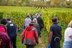 Harvest Volunteer Days 2026