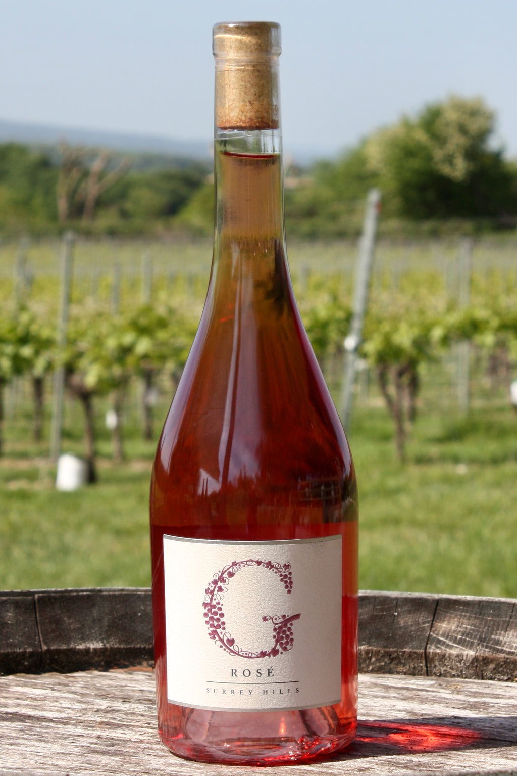 2025 Still Rosé