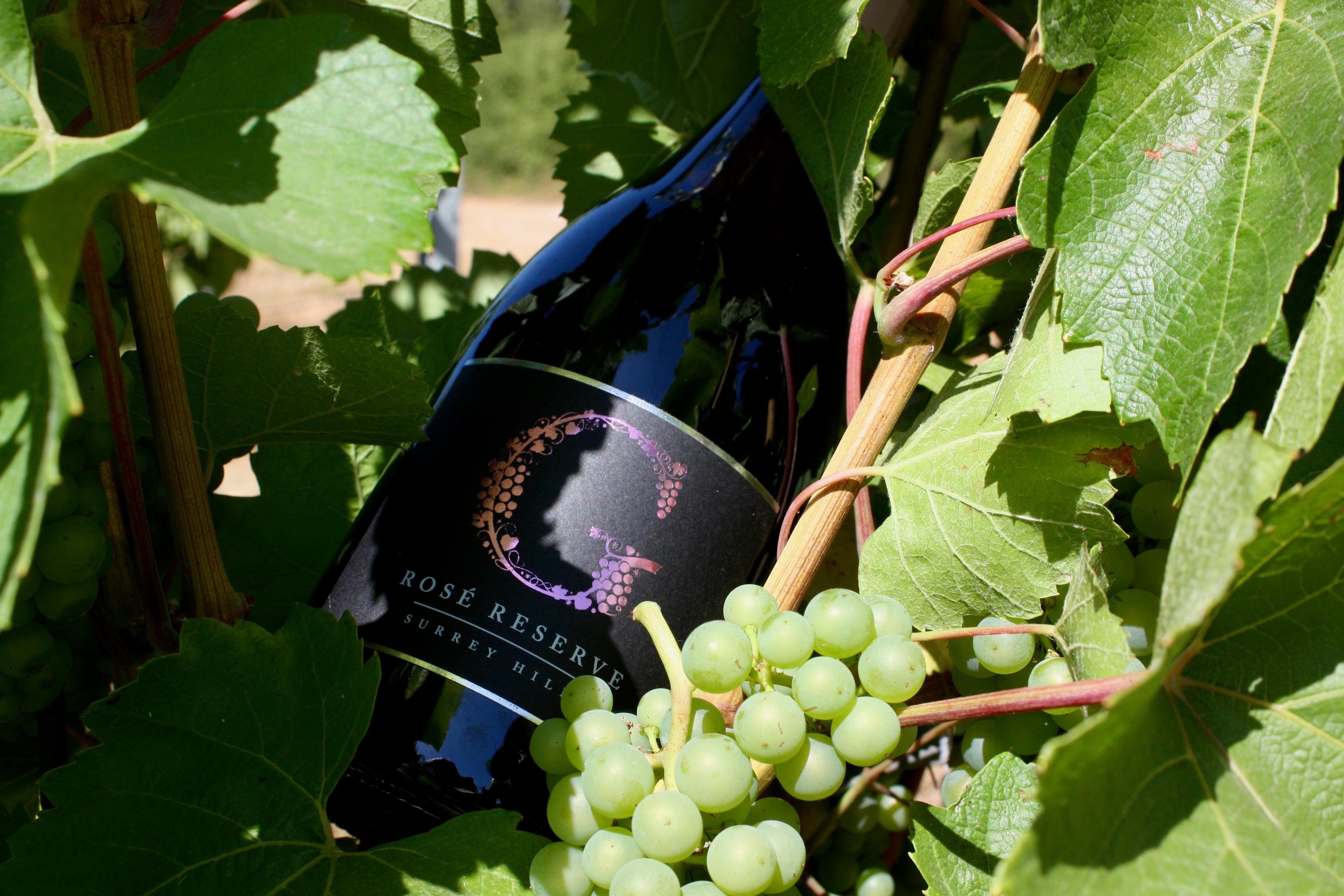 2022 Sparkling Rosé Reserve