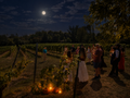 Halloween Walk In Tasting
