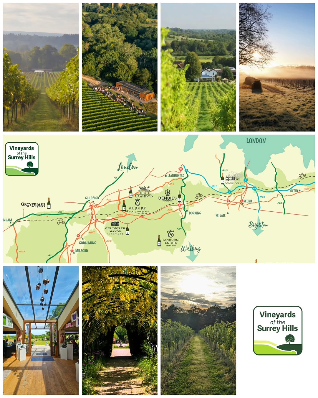 Vineyards of the Surrey Hills Tour and Tasting